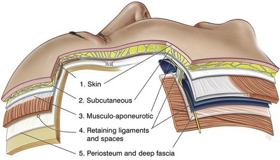 Deep Plane Facelift natuurlijke gezichtsverjonging