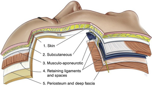 Deep Plane Facelift: alles over de meest natu